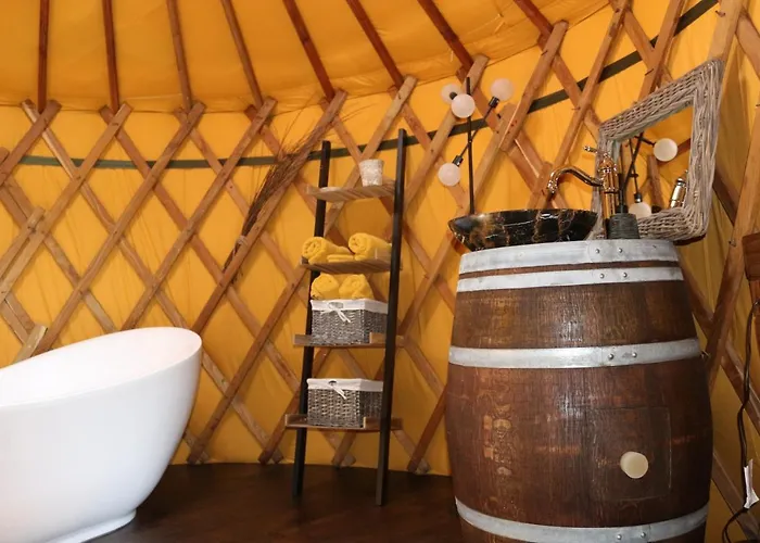 Yourtes Coccinelles *