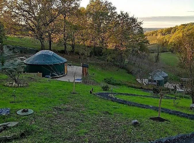 Yourtes Coccinelles *