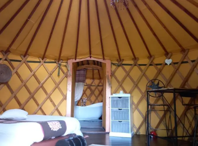 Yourtes Coccinelles *